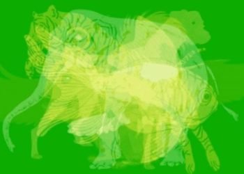 animal personnalites