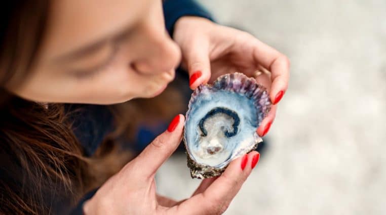 planche de cuisine gobble à mâcher d - Faut-il avaler ou mâcher des huîtres ? ð¤'huîtres