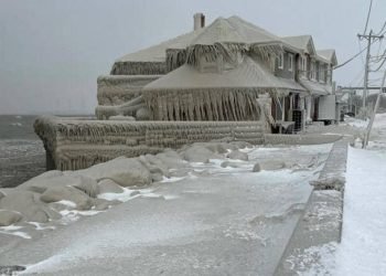 Les images impressionnantes de la tempête de neige aux États-Unis : le pays est paralysé