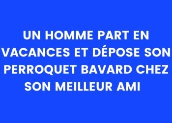 Un perroquet bavard se calme