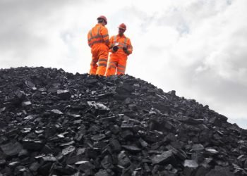 Comment se forme le charbon ?  |  Sciences en direct