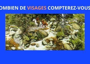 Combien de visages trouverez-vous dans ce paysage ?