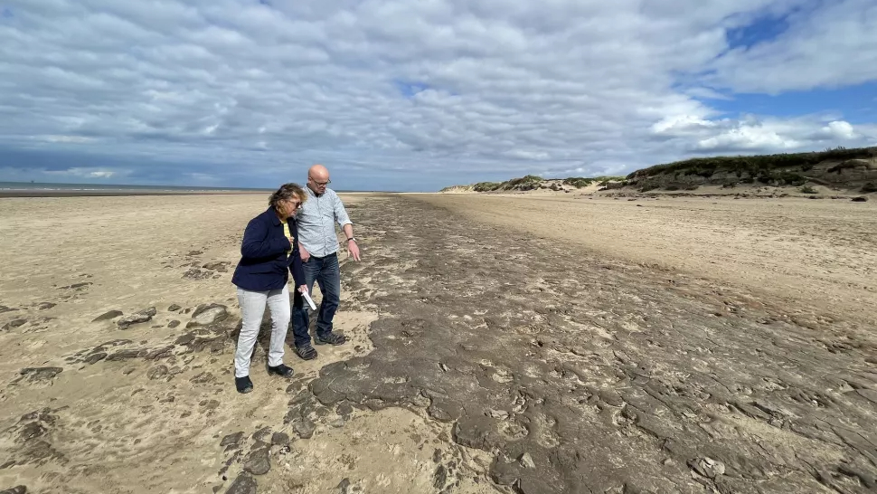 Un homme et une femme inspectent d'anciennes empreintes humaines et animales sur une plage.