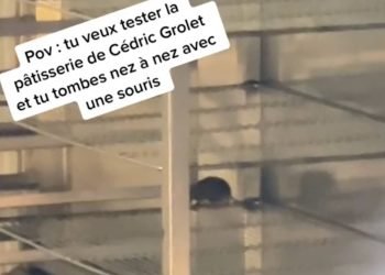 Il va déguster une pâtisserie chez Cédric Grolet et tombe sur... une souris !  (vidéo)