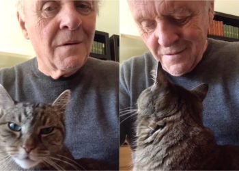Anthony Hopkins rend un hommage musical émouvant à son chat disparu