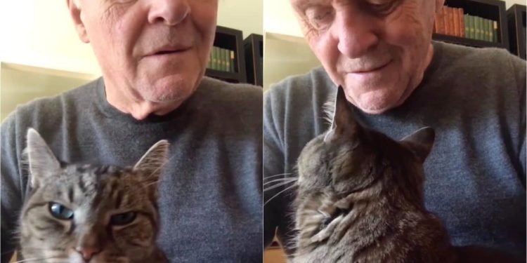 Anthony Hopkins rend un hommage musical émouvant à son chat disparu