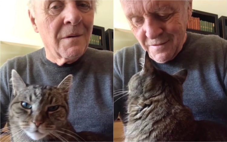 Anthony Hopkins rend un hommage musical émouvant à son chat disparu – Thebuzzly