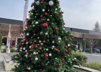 Joyeux noël!  - Blog maquillage et beauté