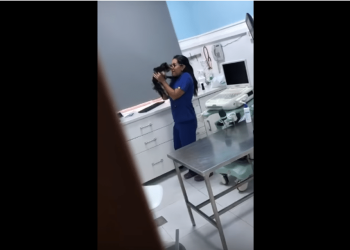 La maîtresse d'un homme du Yorkshire filme son vétérinaire en cachette... et ce qu'elle découvre la laissera sans voix !