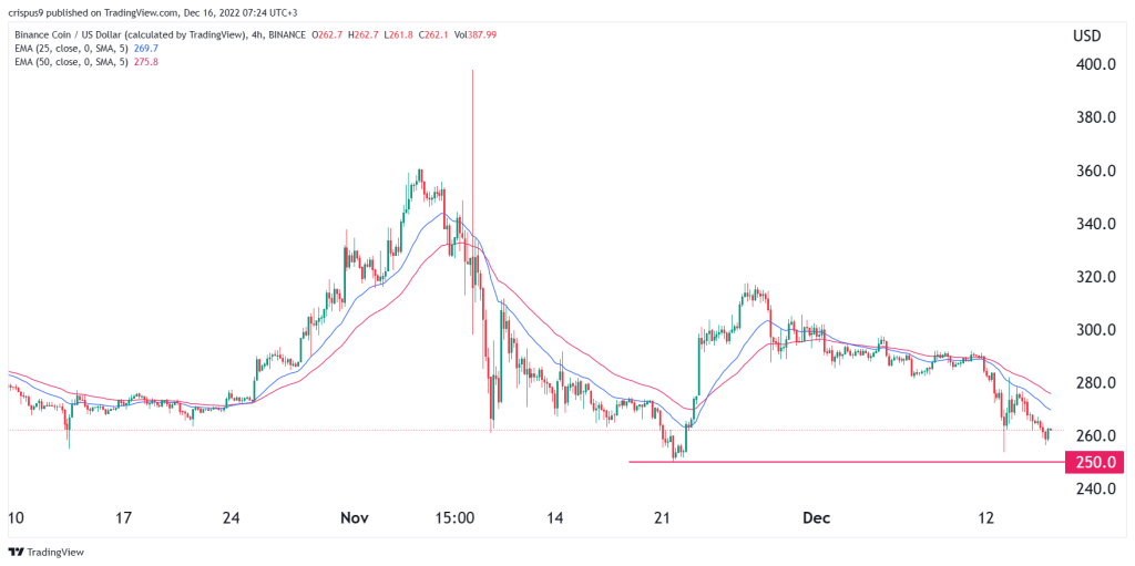 Le prix de la BNB s'effondre face aux inquiétudes croissantes de Binance FUD – Thebuzzly