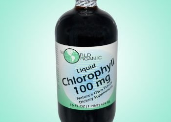 L'image peut contenir un agitateur de bouteille de sirop d'assaisonnement alimentaire et une plante