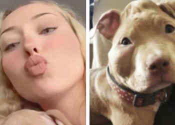 Les deux influenceurs accusés d'avoir maltraité leur chien cherchent à passer la douane dans TPMP (vidéo)