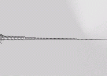 Les queues en forme de fouet des dinosaures à long cou ont-elles vraiment franchi le mur du son ?  Pas si vite.