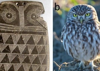 Les sculptures de hiboux "sacrés" de l'âge du cuivre pourraient en fait être des jouets pour enfants
