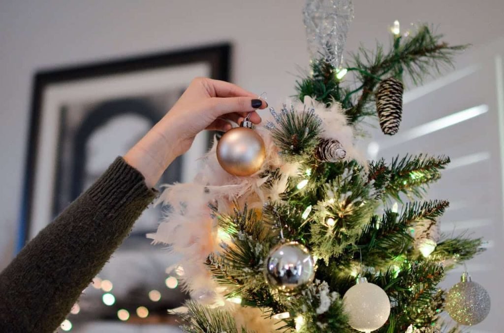 Quelle est la date idéale pour installer votre sapin ? – Thebuzzly