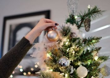Quelle est la date idéale pour installer votre sapin ?