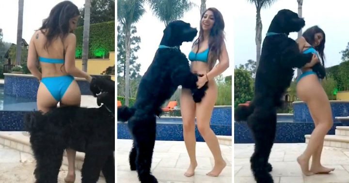 Un homme porte plainte contre un mannequin pour avoir excité son chien, mais sa version est terrible – Thebuzzly