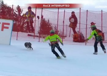 Ce chien vole la vedette aux meilleurs skieurs du monde (vidéo)
