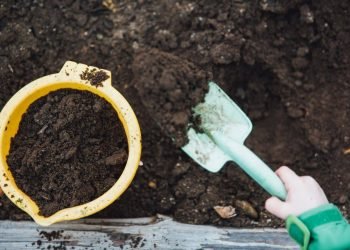 Une personne décédée peut désormais servir... de compost !