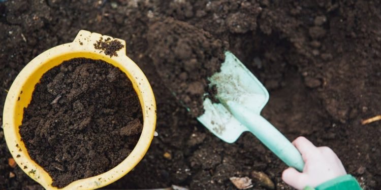 Une personne décédée peut désormais servir... de compost ! – Thebuzzly