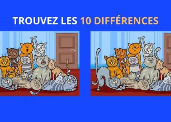 Serez-vous assez rapide pour trouver les 10 différences ?