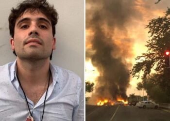 le fils de "El Chapo", a été arrêté (vidéo)