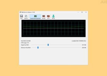 RAM Idle