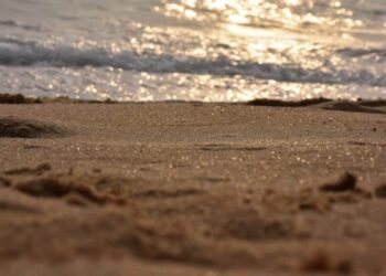 Une femme découvre une étrange créature échouée sur la plage !