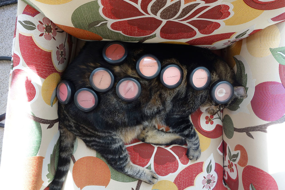 Dimanche avec des onglets le chat, mascotte de blog de maquillage et de beauté, vol. 363 (encore) – Thebuzzly