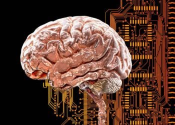 Un mystérieux réseau cérébral pourrait être à la base de nombreux troubles psychiatriques