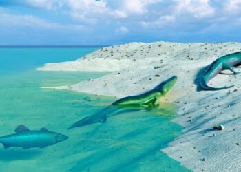 L'évolution recule-t-elle jamais ?