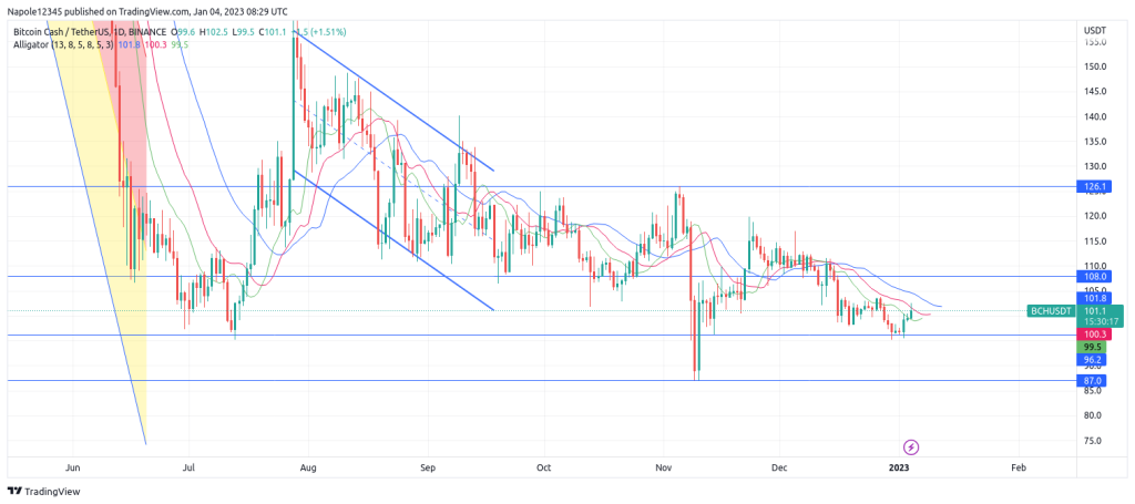 La tendance baissière persiste pour Bitcoin Cash malgré les récents gains de prix – Thebuzzly