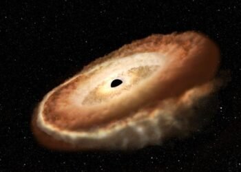 Un trou noir a "spaghettifié" une étoile en forme de beignet, et les astronomes ont capturé la rencontre sanglante