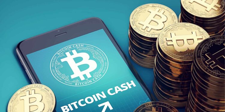 La tendance baissière persiste pour Bitcoin Cash malgré les récents gains de prix