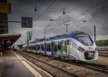 un train évacué à cause d'un passager dangereux