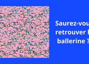 Seul un œil expert peut trouver la danseuse en rose