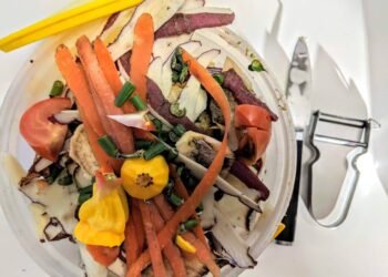 loi compost ecologie