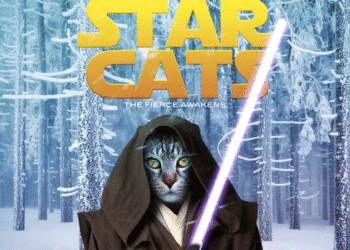 Dimanche avec des onglets le chat, mascotte de blog de maquillage et de beauté, vol.  747