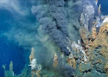 Quelle source d'énergie a déclenché l'évolution de la vie ?