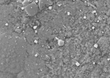 Une météorite « vierge » contaminée par du sel de table lors d'un atterrissage forcé sur Terre