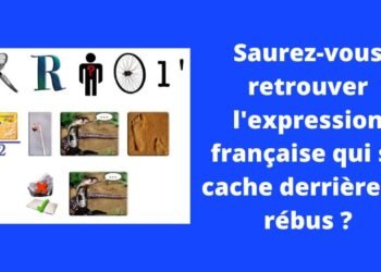 Saurez-vous trouver l'expression française qui se cache derrière ce rébus ?