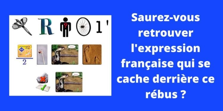 Saurez-vous trouver l'expression française qui se cache derrière ce rébus ? – Thebuzzly