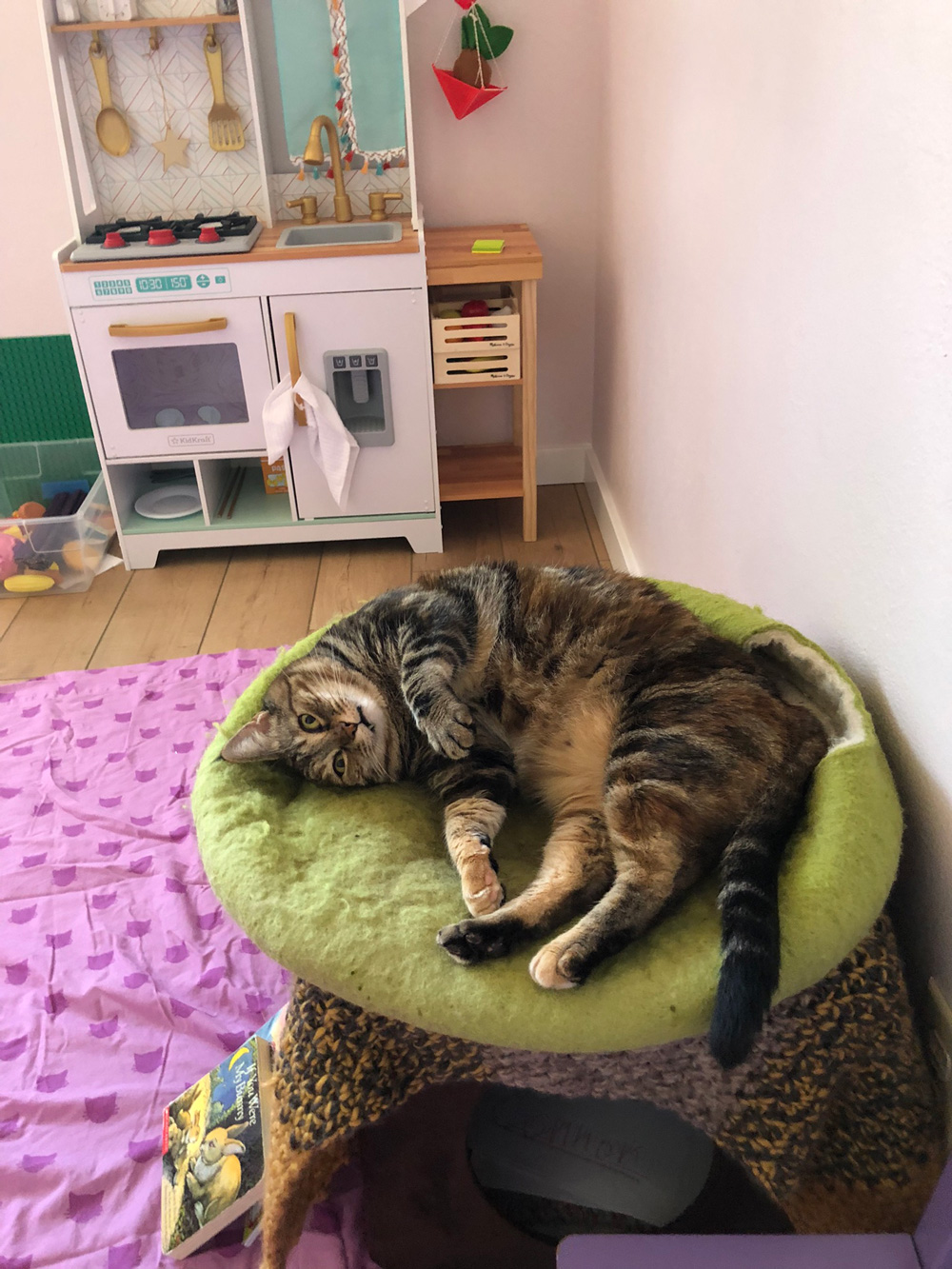 Dimanche avec des onglets le chat, mascotte de blog de maquillage et de beauté, vol. 749 – Thebuzzly