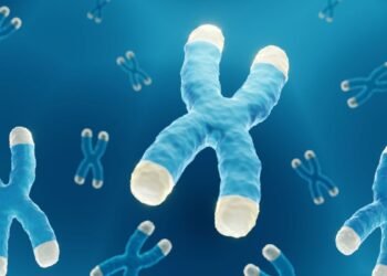 Télomères : que sont-ils et comment impactent-ils le vieillissement ?