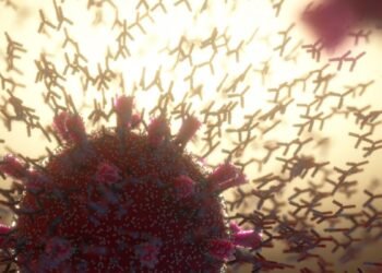 COVID-19 lié à une augmentation de 40% du risque de maladie auto-immune dans une vaste étude