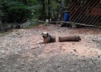 14 illusions d'optique réelles qui vous dérouteront