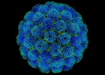 Une dose de vaccin à l'automne ?  La nouvelle qui vient de tomber