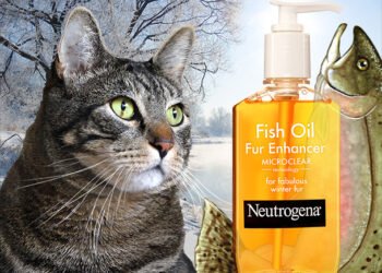 Dimanche avec des onglets le chat, mascotte de blog de maquillage et de beauté, vol.  750