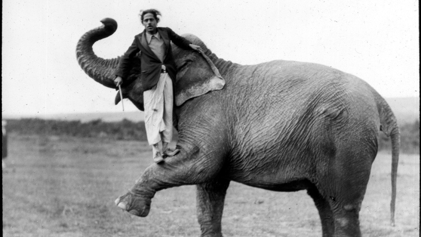 L'homme se tient sur la jambe de l'éléphant