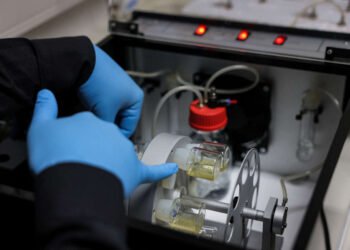 Pour les biotechs, après l'euphorie, l'arrêt brutal des investissements